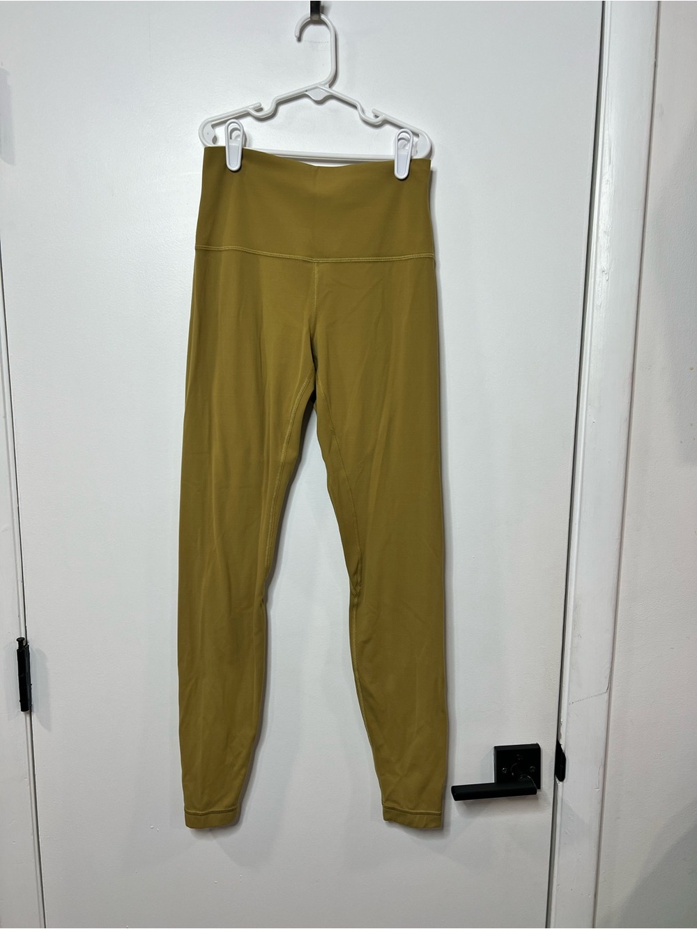 Lululemon Size 6 Pants Women’s Align High-Rise Nulu 25” Leggings in Grapeleaf